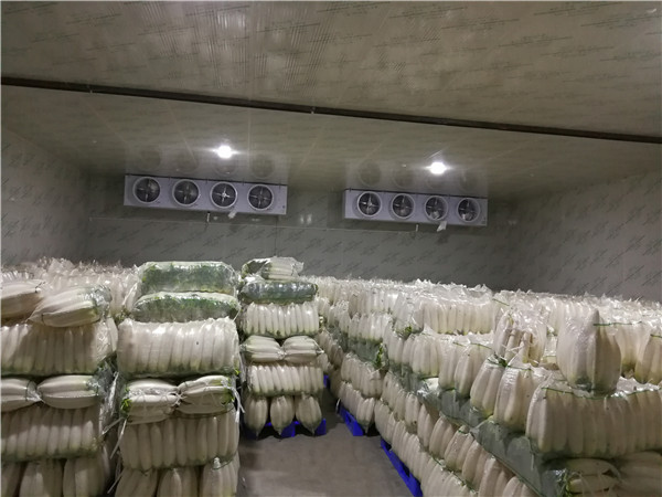 聯(lián)系方式|湖北雪弗萊制冷設備有限公司 聯(lián)系方式|湖北雪弗萊制冷設備有限公司